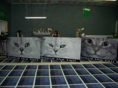 Cat Signs