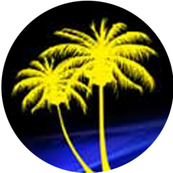 SarasotaWraps Logo