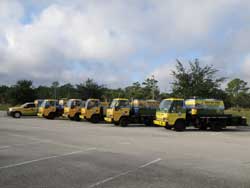 Bugs Bee-Ware Truck